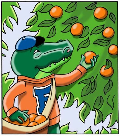 Florida Gators 4 