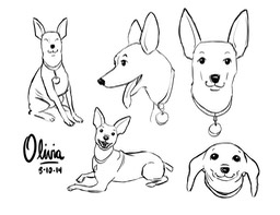 Olivia-model-sheet-copy-2