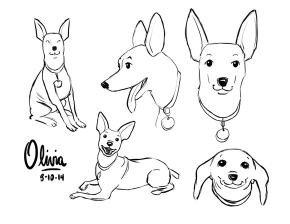 Olivia-model-sheet-copy-2